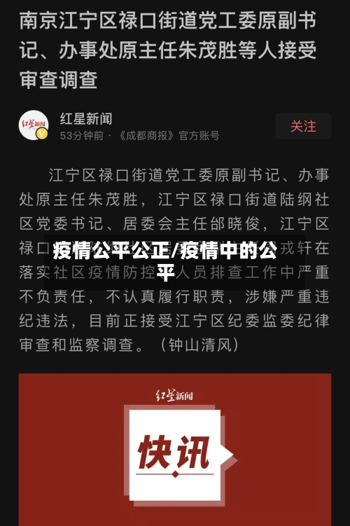 疫情公平公正/疫情中的公平