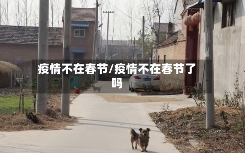 疫情不在春节/疫情不在春节了吗