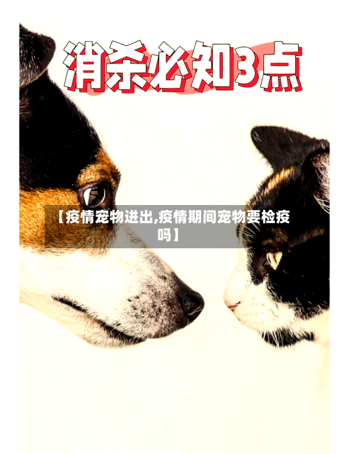 【疫情宠物进出,疫情期间宠物要检疫吗】