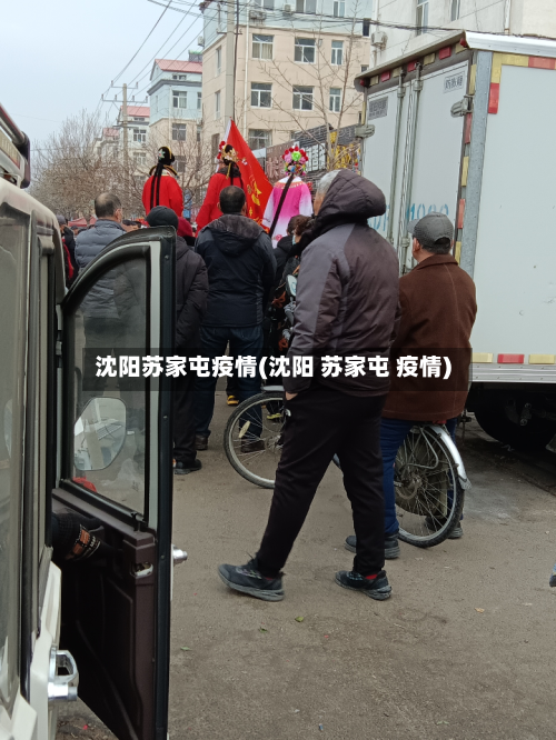 沈阳苏家屯疫情(沈阳 苏家屯 疫情)
