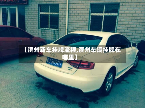 【滨州新车挂牌流程,滨州车辆挂牌在哪里】