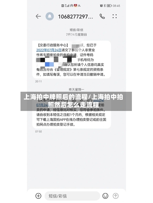 上海拍中牌照后的流程/上海拍中拍照然后怎么走流程