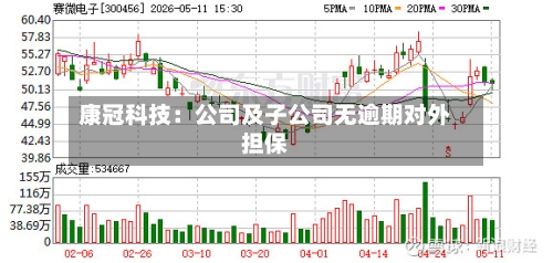 康冠科技：公司及子公司无逾期对外担保-第1张图片