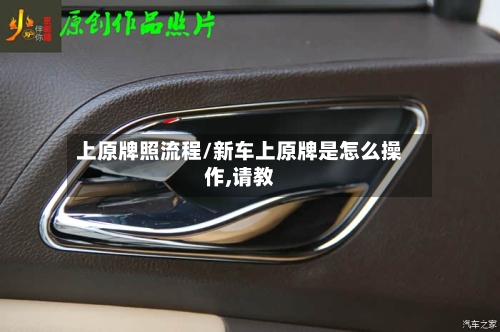 上原牌照流程/新车上原牌是怎么操作,请教
