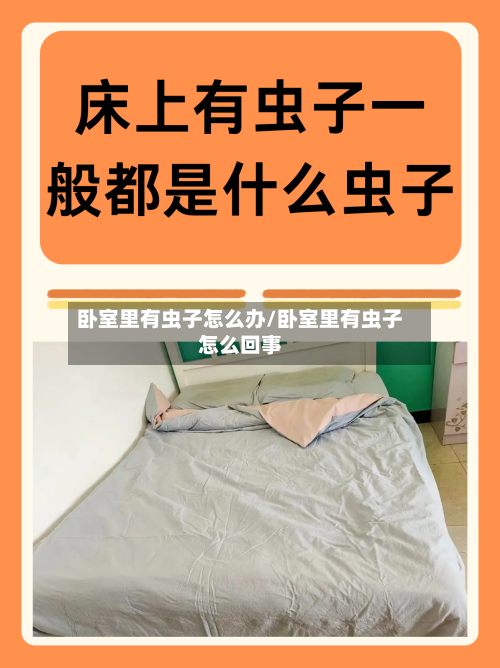 卧室里有虫子怎么办/卧室里有虫子怎么回事