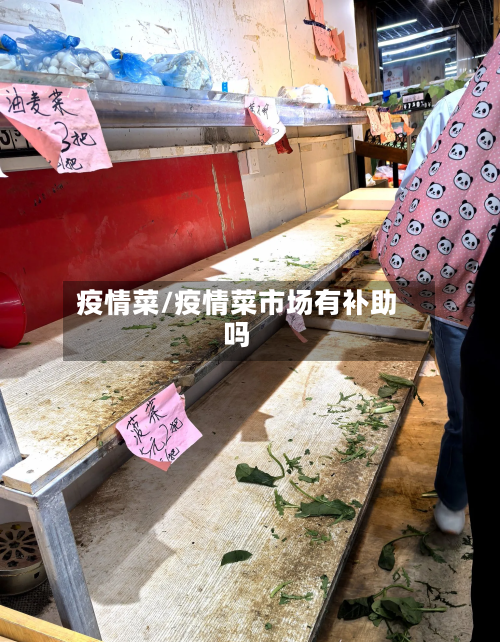 疫情菜/疫情菜市场有补助吗