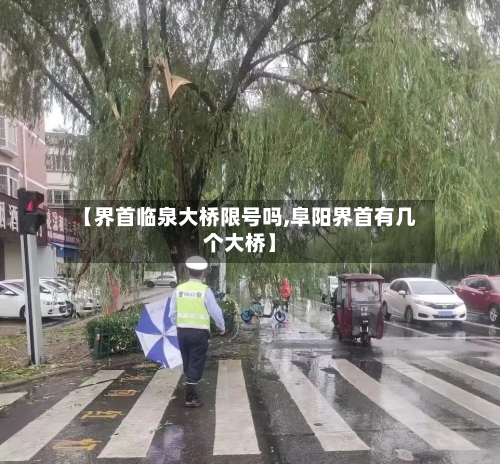 【界首临泉大桥限号吗,阜阳界首有几个大桥】