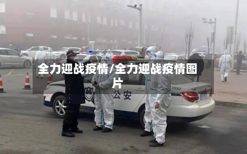 全力迎战疫情/全力迎战疫情图片