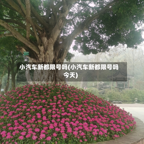 小汽车新都限号吗(小汽车新都限号吗今天)