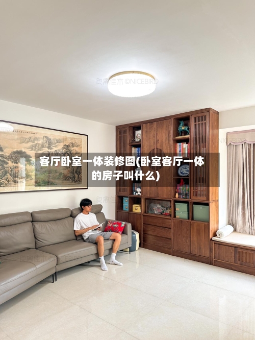 客厅卧室一体装修图(卧室客厅一体的房子叫什么)