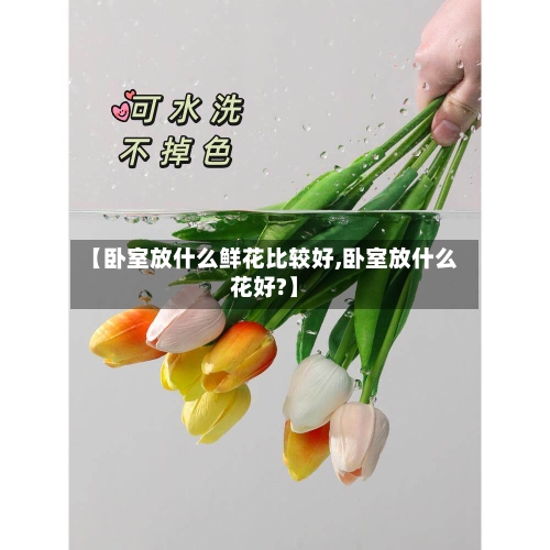 【卧室放什么鲜花比较好,卧室放什么花好?】