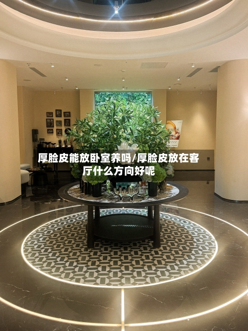 厚脸皮能放卧室养吗/厚脸皮放在客厅什么方向好呢
