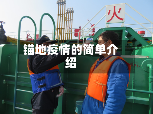锚地疫情的简单介绍