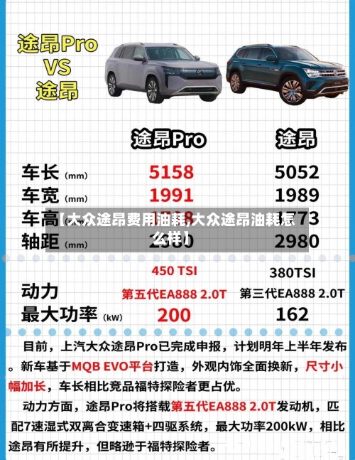 【大众途昂费用油耗,大众途昂油耗怎么样】