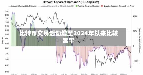 比特币交易活动增至2024年以来比较高水平