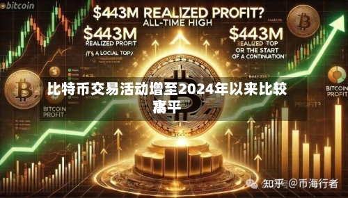 比特币交易活动增至2024年以来比较高水平