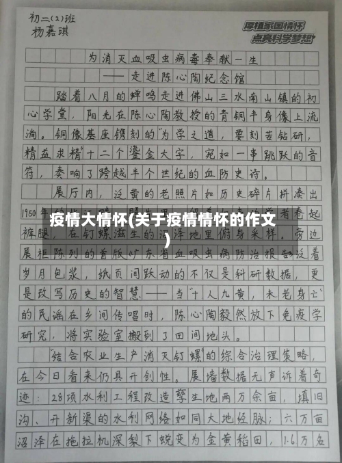 疫情大情怀(关于疫情情怀的作文)