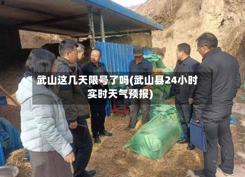 武山这几天限号了吗(武山县24小时实时天气预报)