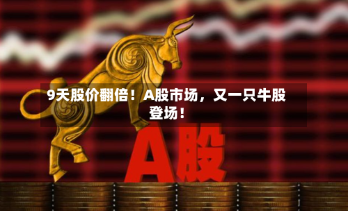 9天股价翻倍！A股市场，又一只牛股登场！