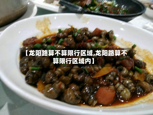 【龙阳路算不算限行区域,龙阳路算不算限行区域内】