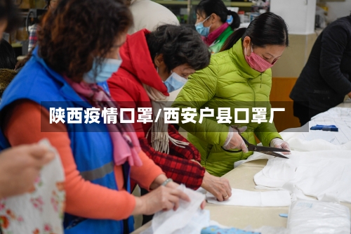 陕西疫情口罩/西安户县口罩厂