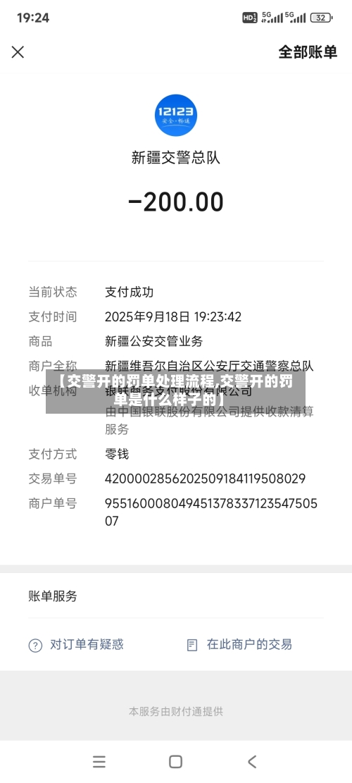 【交警开的罚单处理流程,交警开的罚单是什么样子的】
