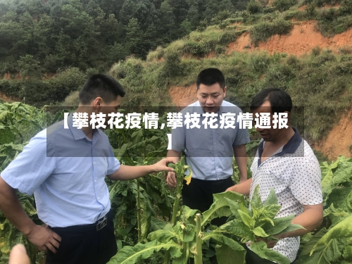 【攀枝花疫情,攀枝花疫情通报】
