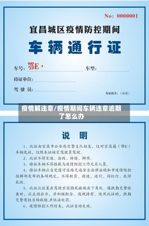 疫情解违章/疫情期间车辆违章逾期了怎么办