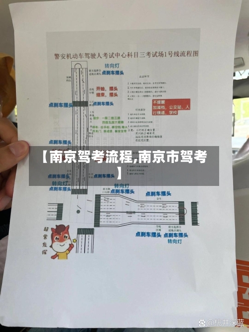 【南京驾考流程,南京市驾考】