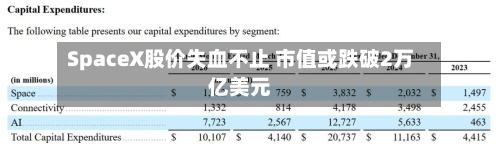 SpaceX股价失血不止 市值或跌破2万亿美元