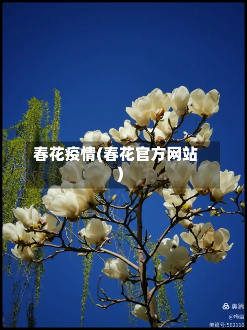 春花疫情(春花官方网站)