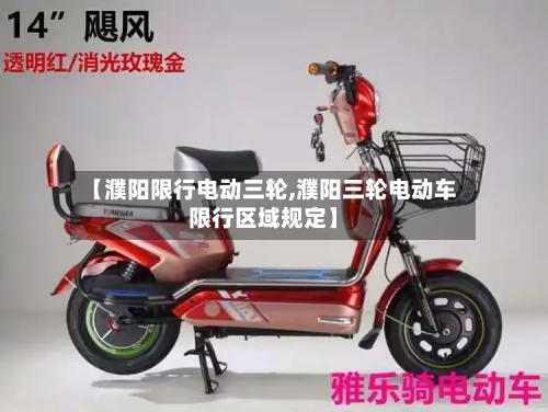 【濮阳限行电动三轮,濮阳三轮电动车限行区域规定】