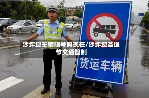 沙坪坝车辆限号吗现在/沙坪坝圣诞节交通管制