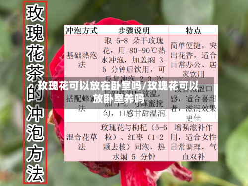 玫瑰花可以放在卧室吗/玫瑰花可以放卧室养吗