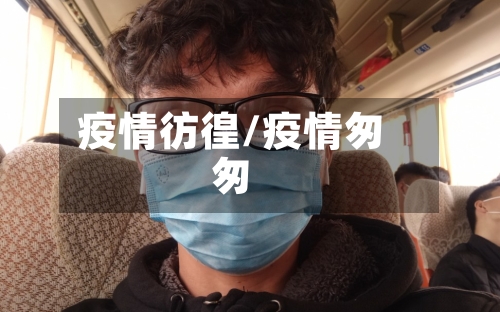疫情彷徨/疫情匆匆