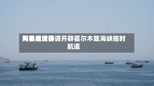 阿曼与世界
海事组织协调开辟霍尔木兹海峡临时航道-第1张图片