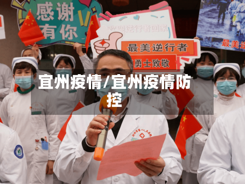 宜州疫情/宜州疫情防控