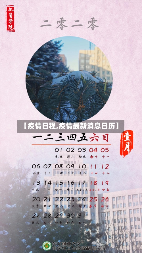 【疫情日程,疫情最新消息日历】