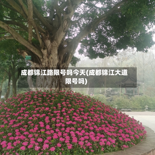 成都锦江路限号吗今天(成都锦江大道限号吗)