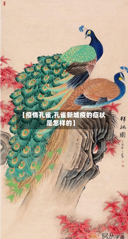 【疫情孔雀,孔雀新城疫的症状是怎样的】