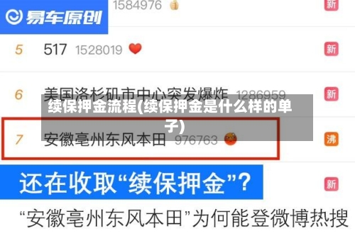 续保押金流程(续保押金是什么样的单子)
