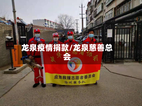 龙泉疫情捐款/龙泉慈善总会