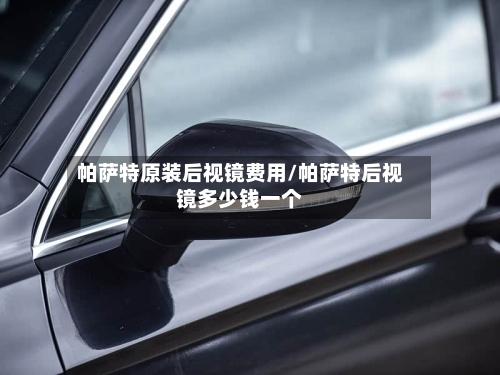 帕萨特原装后视镜费用/帕萨特后视镜多少钱一个