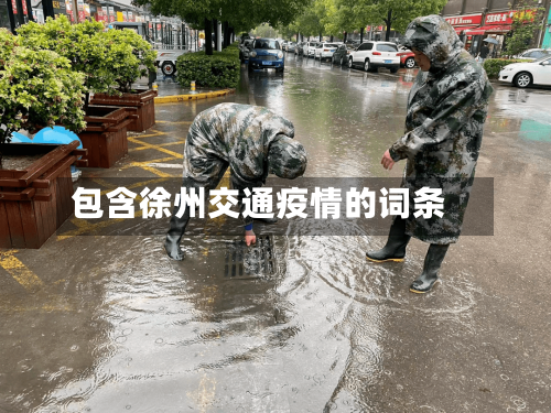包含徐州交通疫情的词条