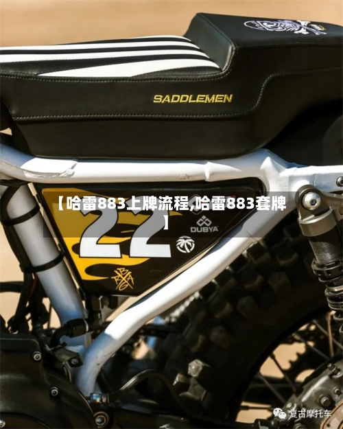 【哈雷883上牌流程,哈雷883套牌】