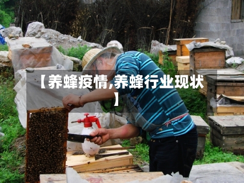 【养蜂疫情,养蜂行业现状】