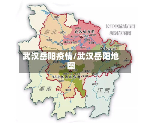 武汉岳阳疫情/武汉岳阳地图