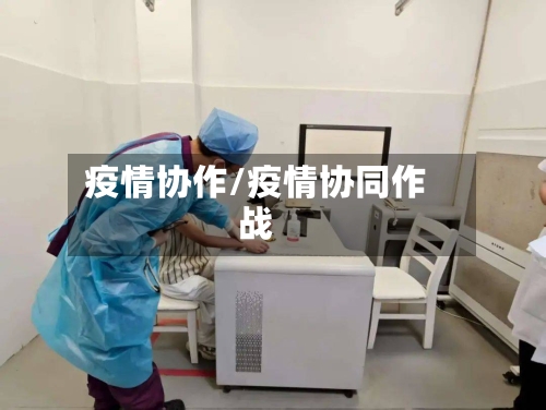 疫情协作/疫情协同作战