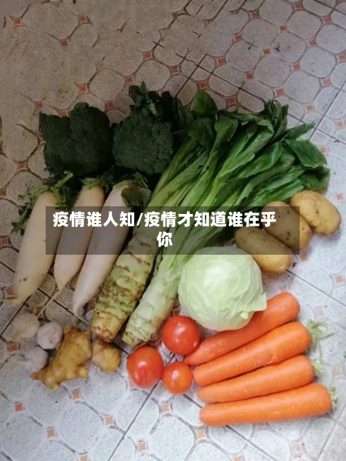 疫情谁人知/疫情才知道谁在乎你