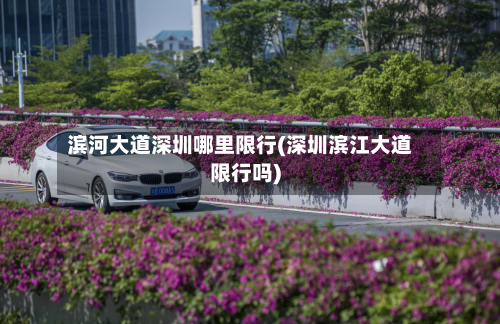 滨河大道深圳哪里限行(深圳滨江大道限行吗)